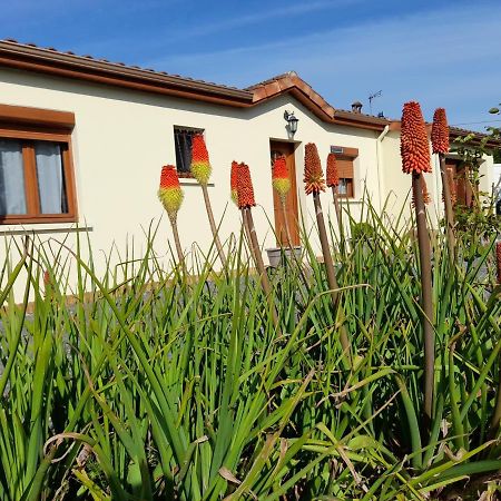 La Belle Maisonnette Montmorillon Kültér fotó